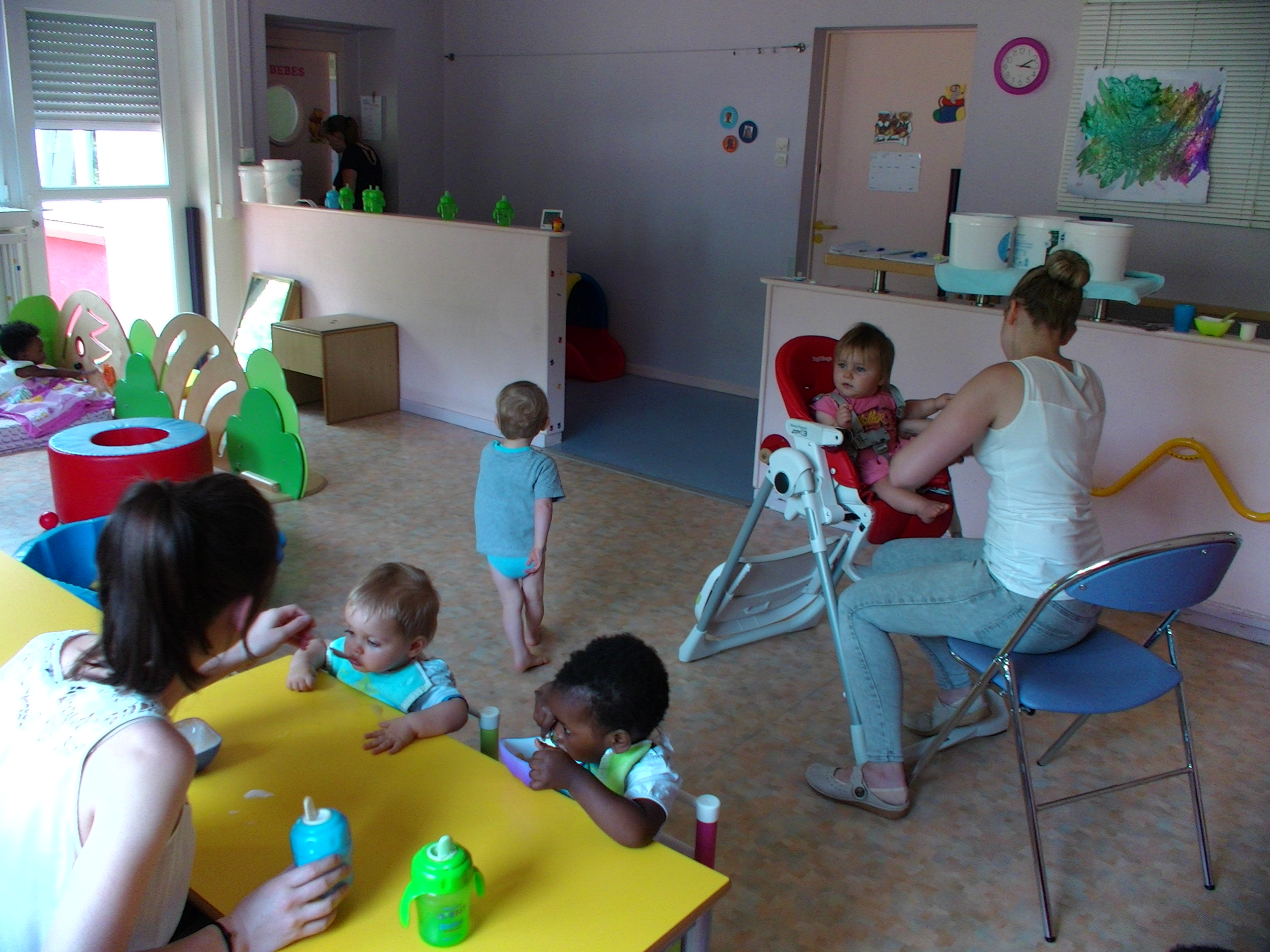 photo repas 4 pattes